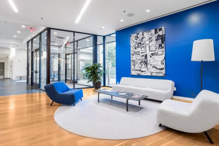 attente-bureau-décoration-bleue-plante